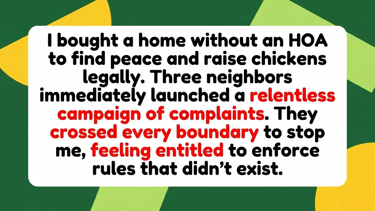 Introverted Homeowner Raises Backyard Chickens Legally, Sparking Outrage From Neighbors