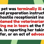 Pet Owner Questions If Reporting Hostile Vet Receptionist Is Going Too Far